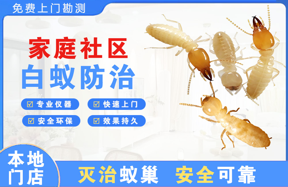 湘潭家庭社区白蚁防治