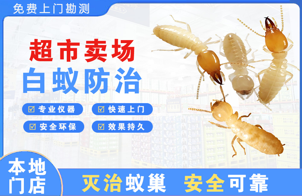 湘潭超市卖场白蚁防治