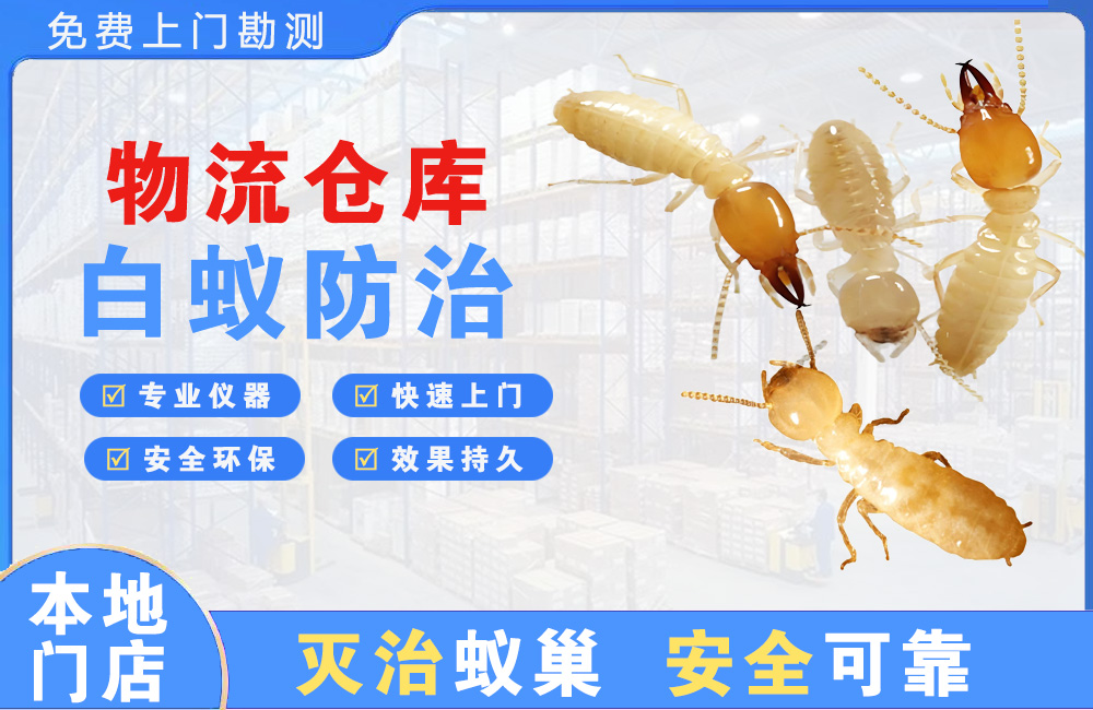 湘潭物流仓库白蚁防治