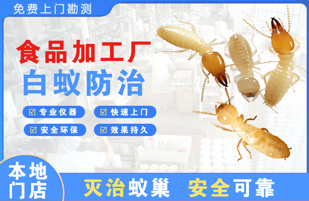 湘潭食品加工厂白蚁防治