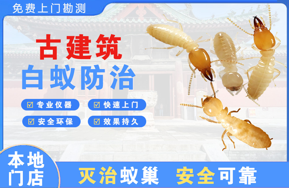 湘潭古建筑白蚁防治