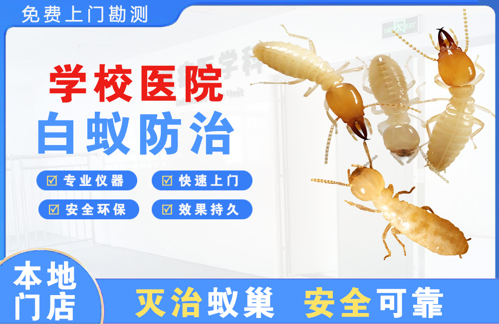 湘潭学校医院白蚁防治