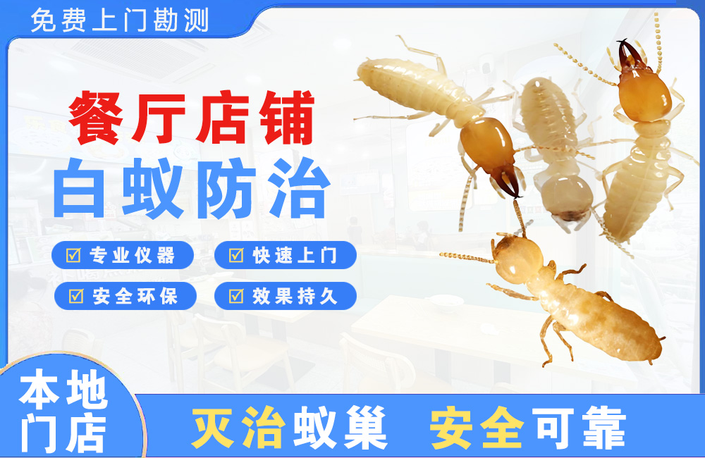 湘潭餐厅店铺白蚁防治